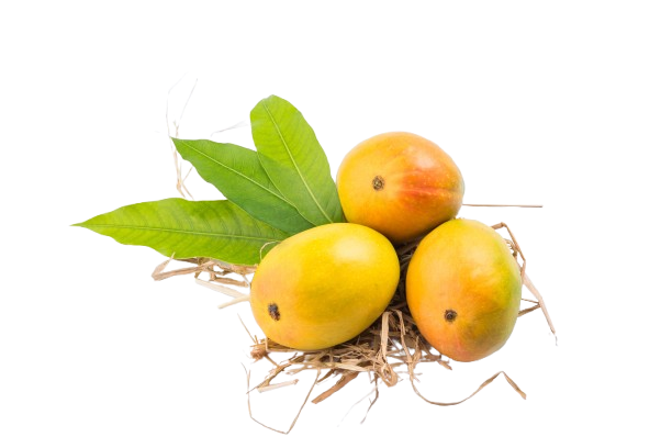 Alphonso