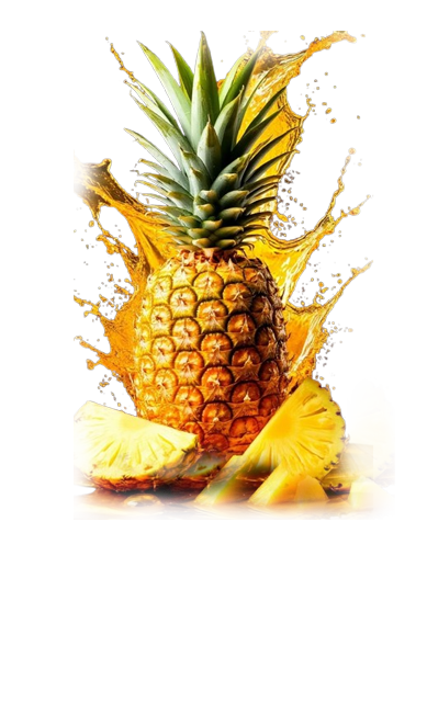 qlty2